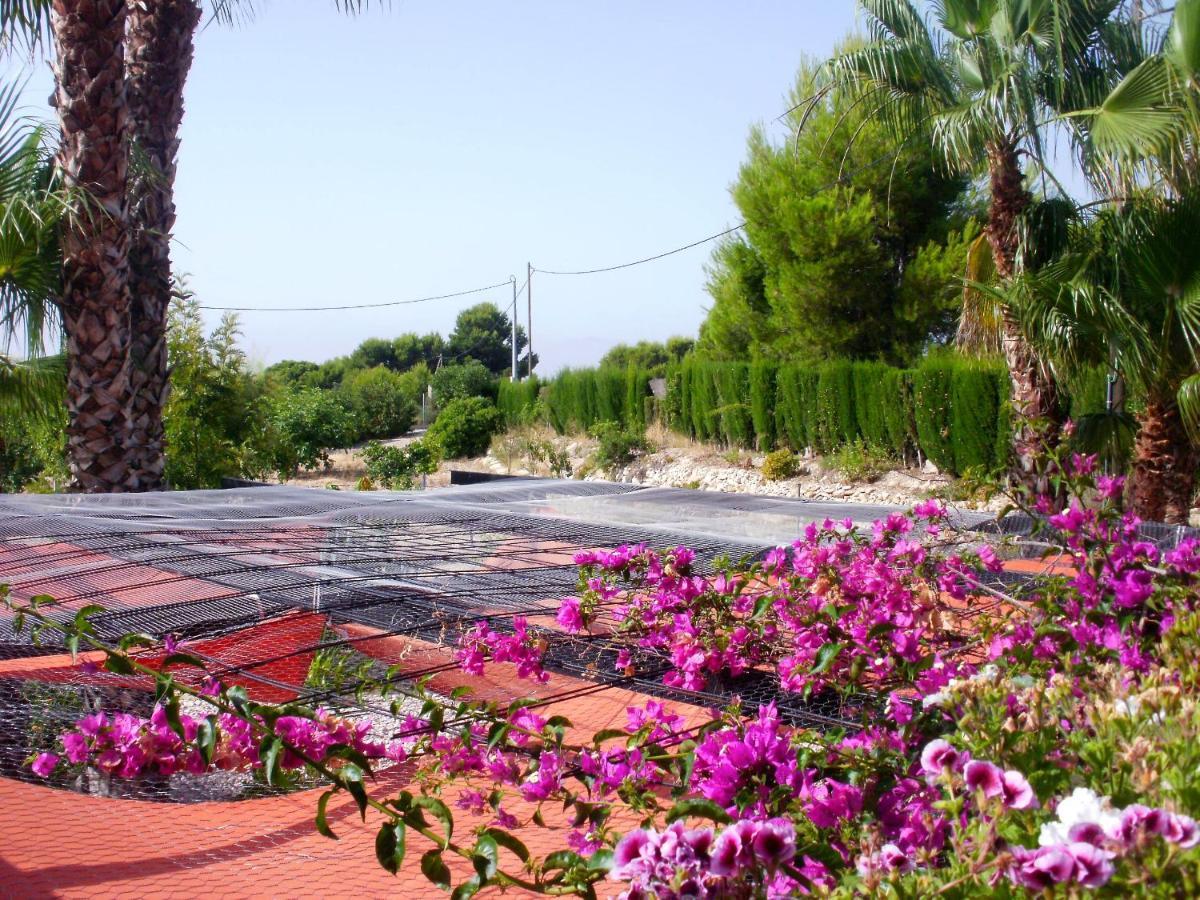 La Guarida Hotel - Alicante — Photos 2